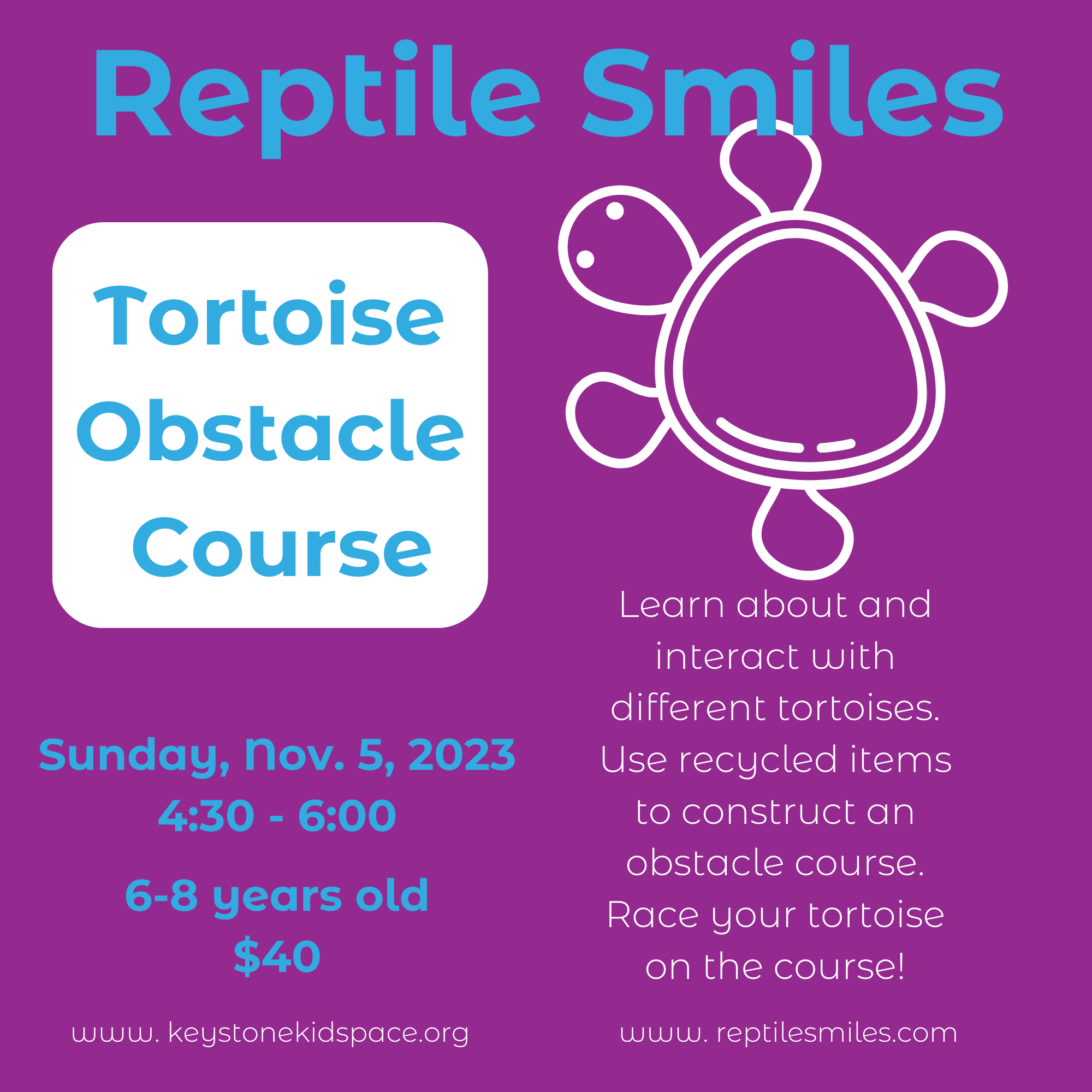 Reptile Smiles: Tortoise Obstacle Course