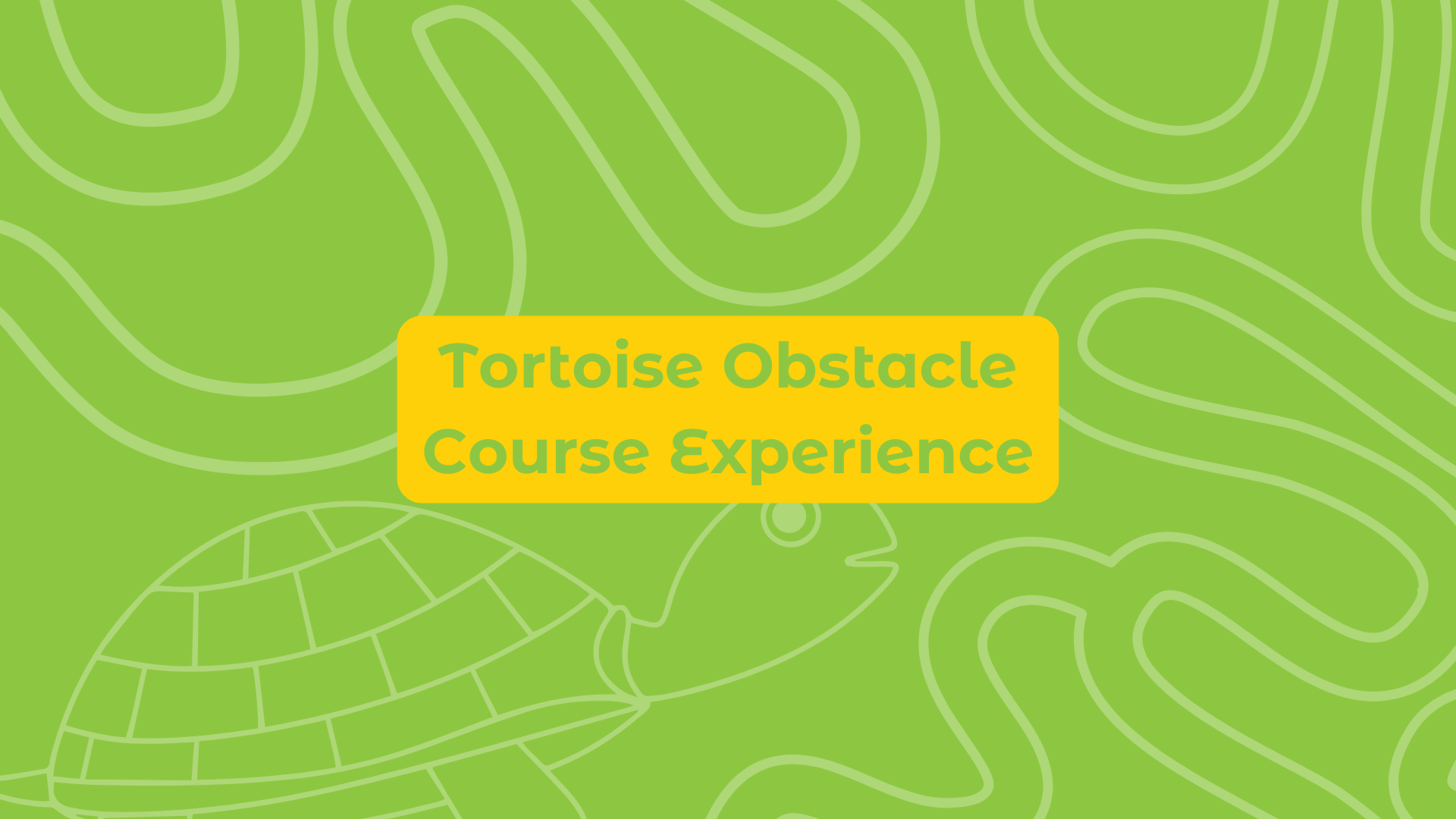 Tortoise Obstacle Course Experience