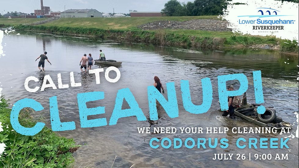 Lower Susquehanna Riverkeeper Codorus Creek Cleanup
