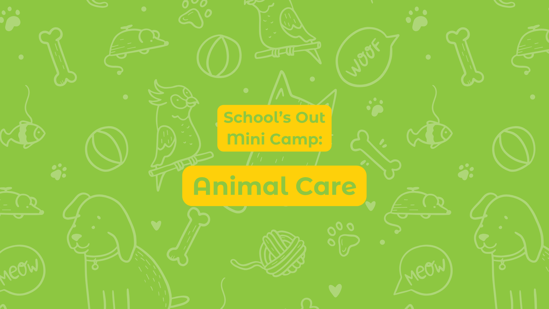School's Out Mini Camp: Animal Care