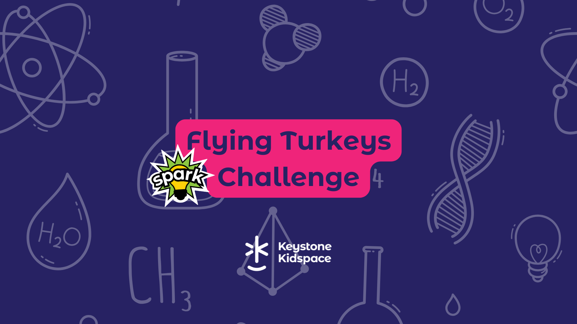 Flying Turkeys Challenge