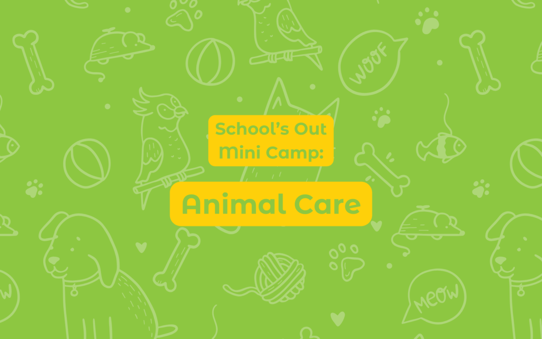 Animal Care