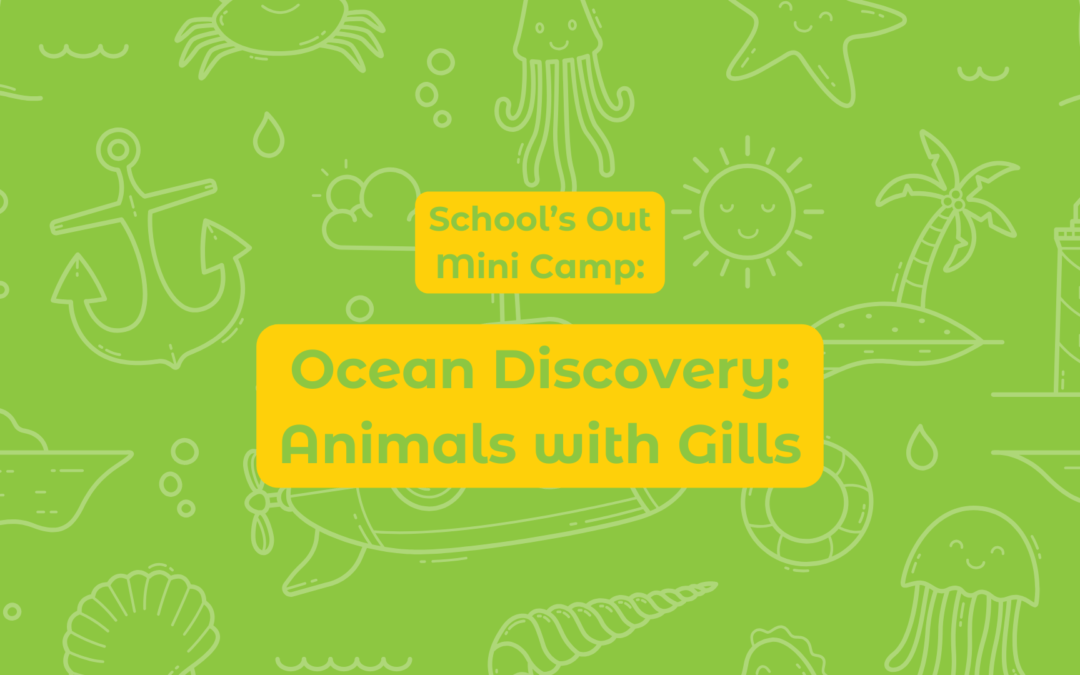 Oceans Discovery: Animals with Gills
