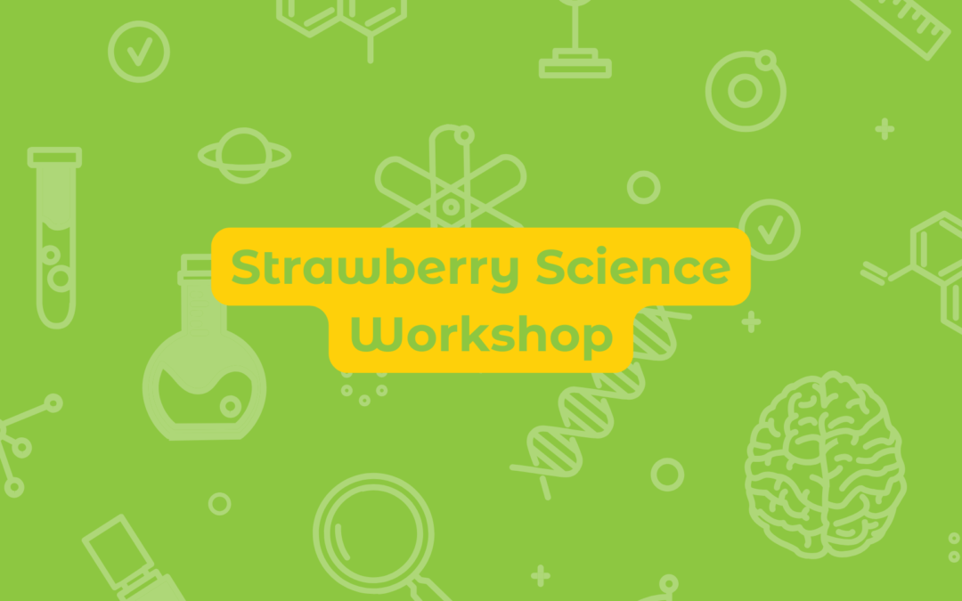 Strawberry Science Workshop
