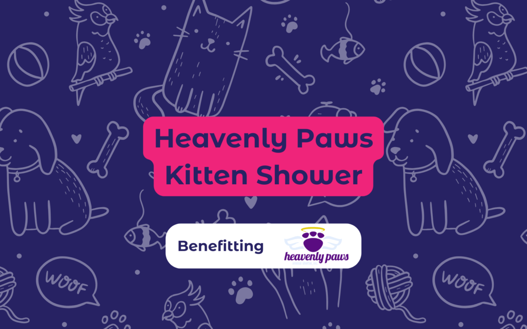 Heavenly Paws Kitten Shower