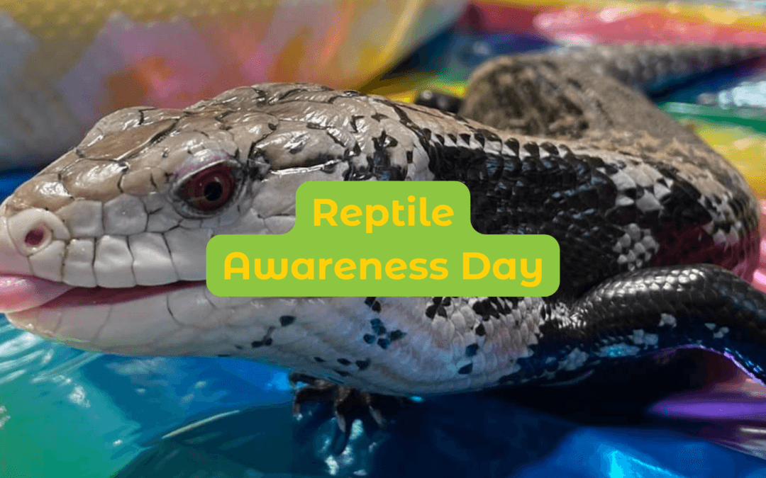 Reptile Awareness Day