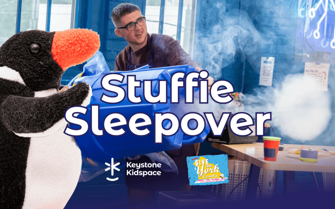 Stuffie Sleepover