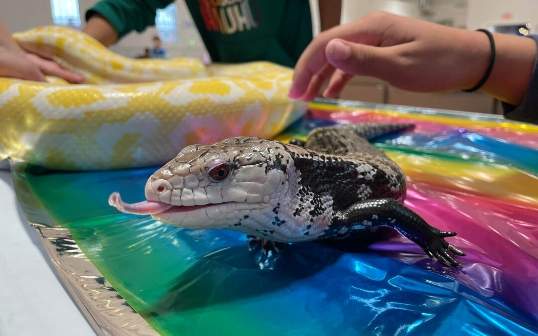 Critter Meet & Greet