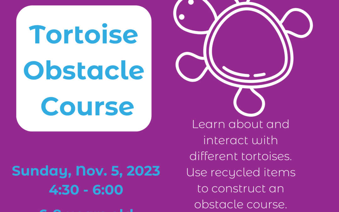 Reptile Smiles: Tortoise Obstacle Course