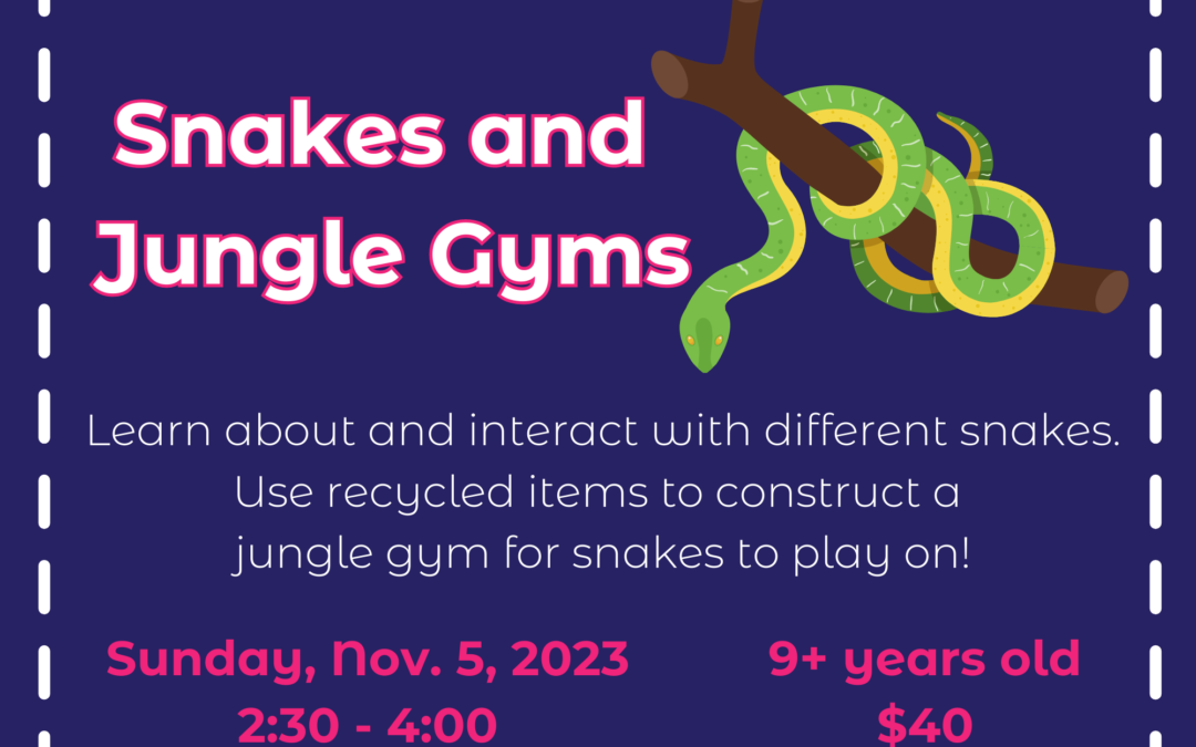 Reptile Smiles: Snakes and Jungle Gyms
