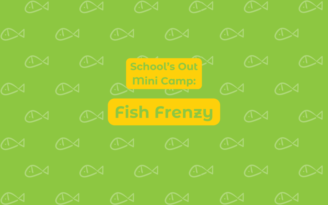 School’s Out Mini Camp: Fish Frenzy