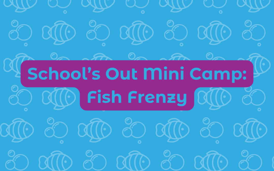 Schools Out Mini Camp: Fish Frenzy